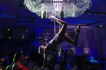 Living Champagne Chandelier - Dediversia Barcelona
