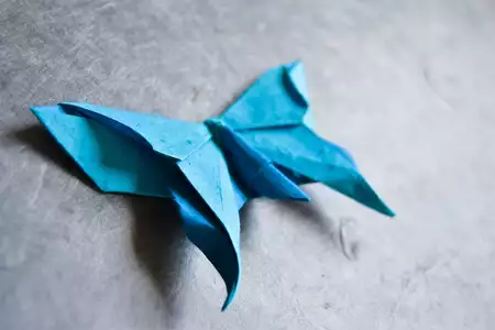 Origami - Dediversia Barcelona
