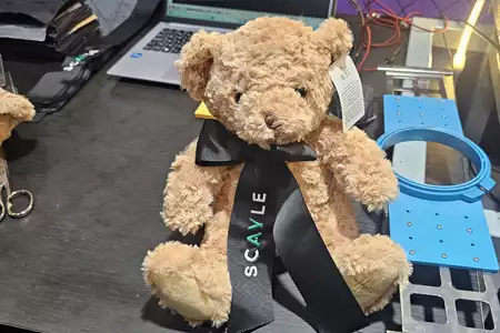 Ositos de Peluche - Dediversia Barcelona
