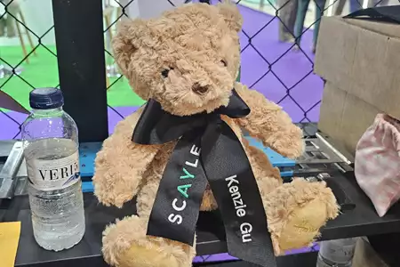 Ositos de Peluche - Dediversia Barcelona