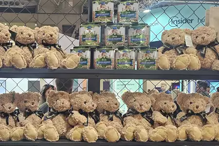 Ositos de Peluche - Dediversia Barcelona