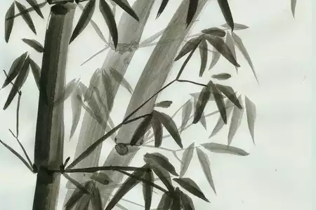 Sumi-e - Dediversia Barcelona