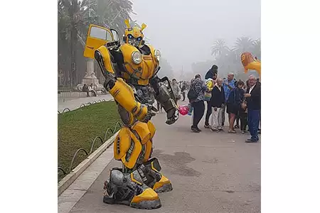 Zancudos Transformer Bumblebee - Dediversia Barcelona