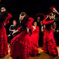 Espectáculos de Baile - Dediversia Barcelona