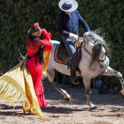 Flamenco Show - Dediversia Barcelona