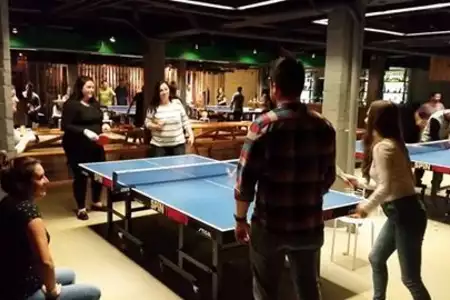 Ping Pong - Dediversia Barcelona