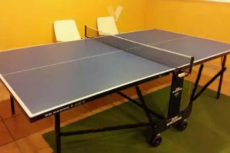 Ping Pong - Dediversia Barcelona