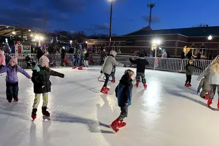Pista de Hielo Sintético - Dediversia Barcelona