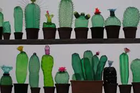 Eco Arte Reciclado de Botellas - Dediversia Barcelona